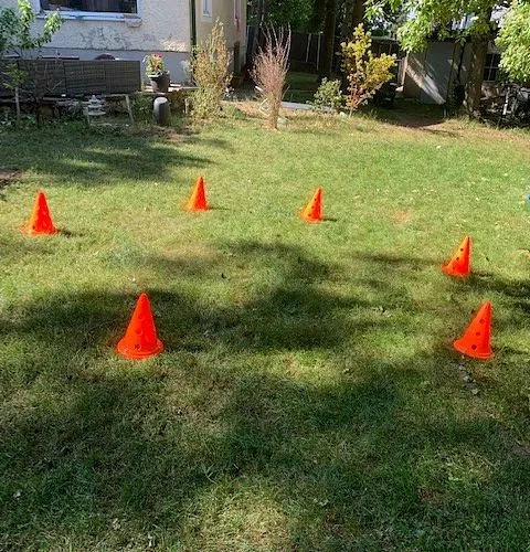 Hundetraining