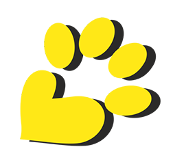 Pfotenwelt - Hundetraining, Tierbetreuung, Workshops