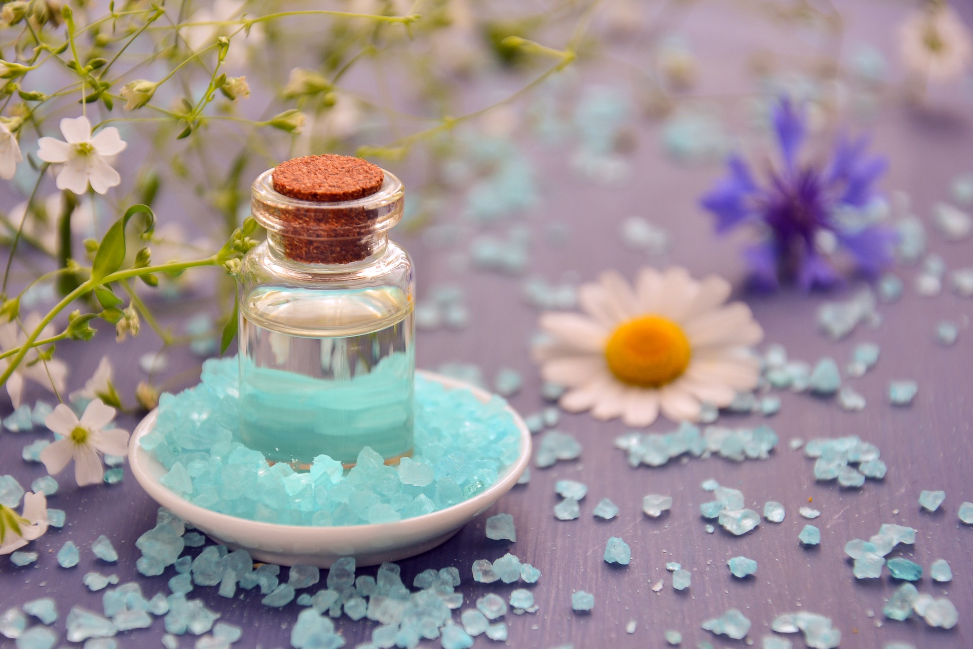 Pfotenwelt - Aromaöle für Mensch und Tier