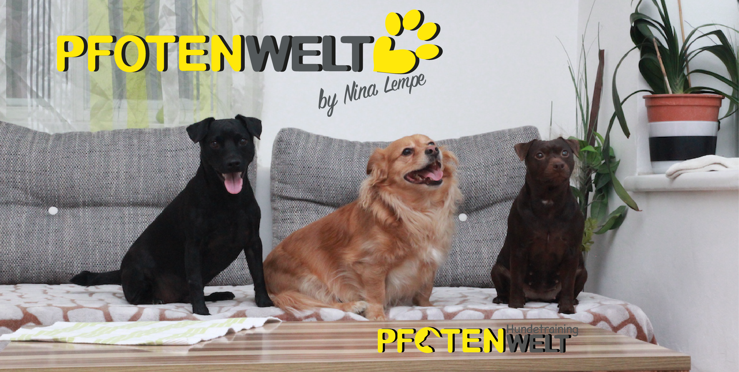 Pfotenwelt Nina Lempe-Hundetraining, Tierbetreuung, Workshops